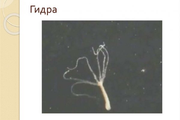 Купить наркоту