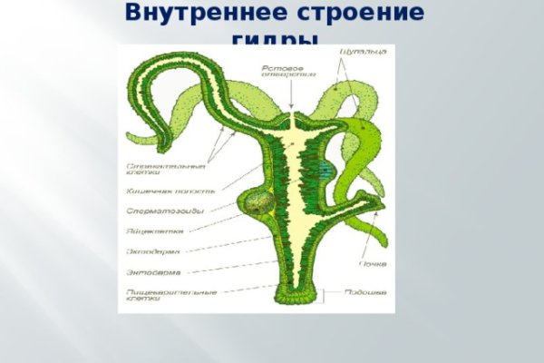 Ссылка на кракен официальный