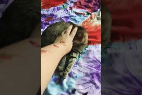Кракен официальная ссылка зеркало