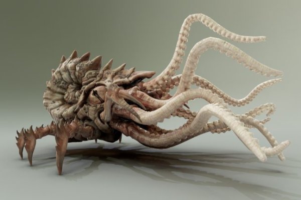 Кракен маркетплейс kraken clear com