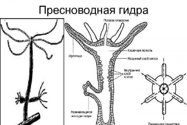 Кракен оригинальная ссылка для тор