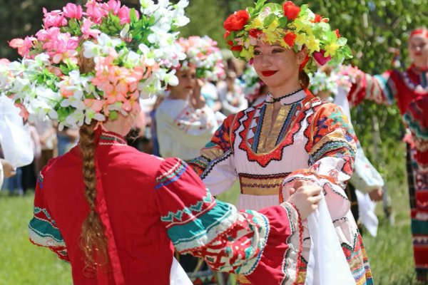 Какая ссылка у кракена